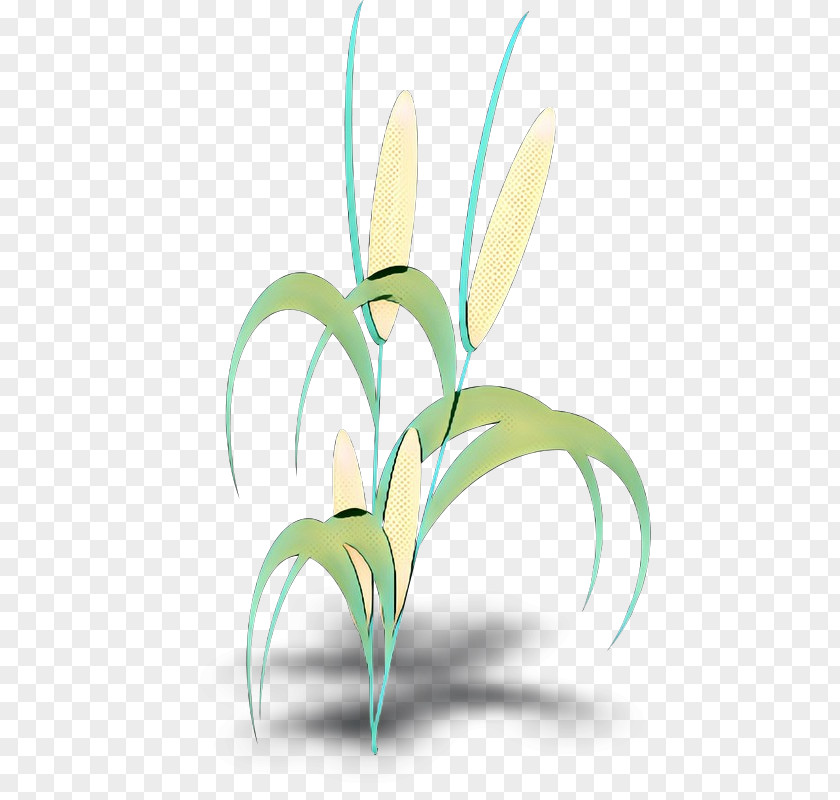 Clip Art Corn On The Cob Plants Leaf PNG