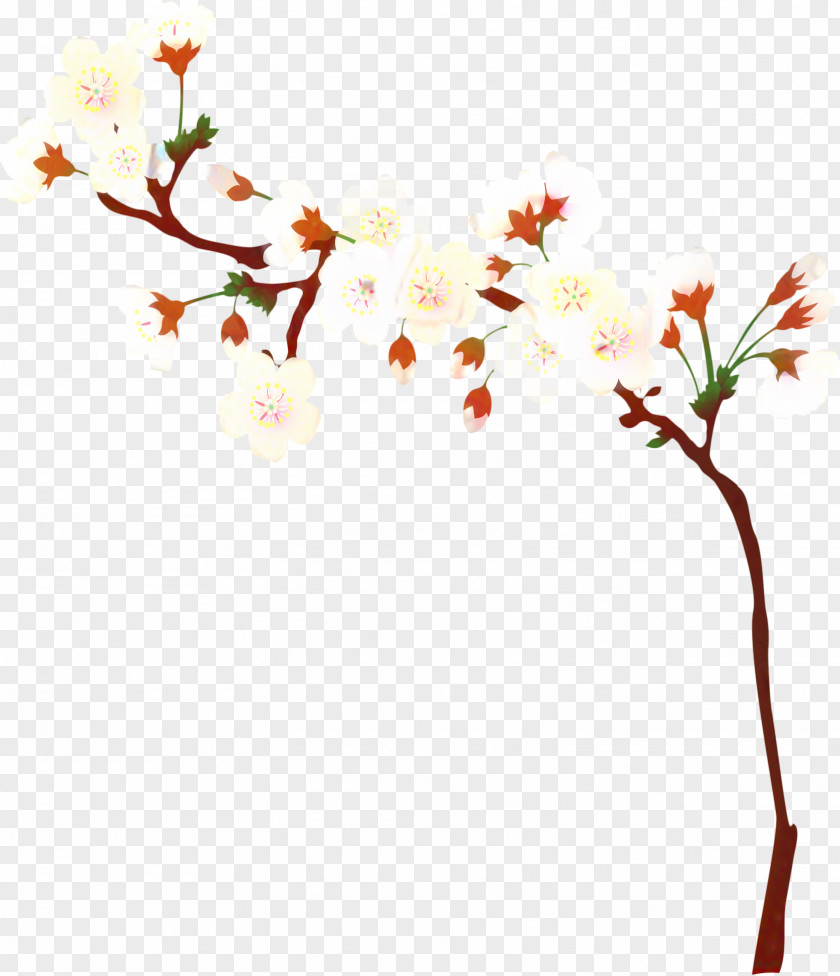 Pedicel Plant Stem Cherry Blossom Tree PNG