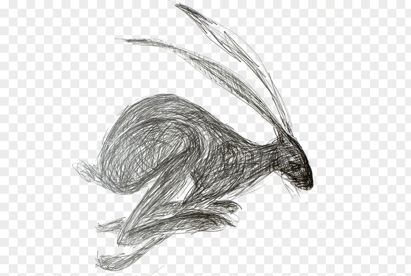 Rabbit European Hare Drawing Watercolor Painting Art PNG