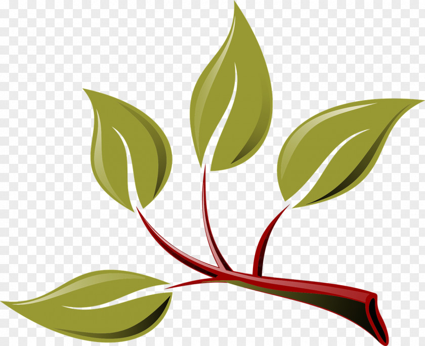 Red Green Leaf Trail Branch Clip Art PNG