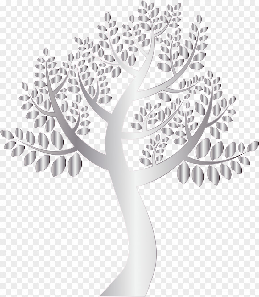 Small Tree Desktop Wallpaper Leucadendron Argenteum Forest Clip Art PNG