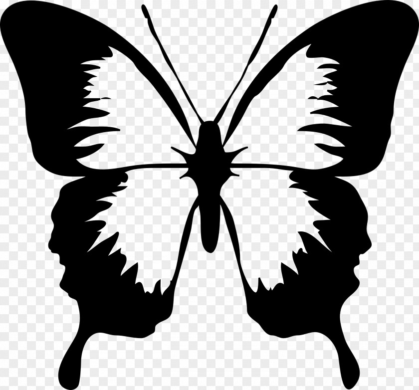 Clip Art Vector Graphics Butterfly Free Content Image PNG