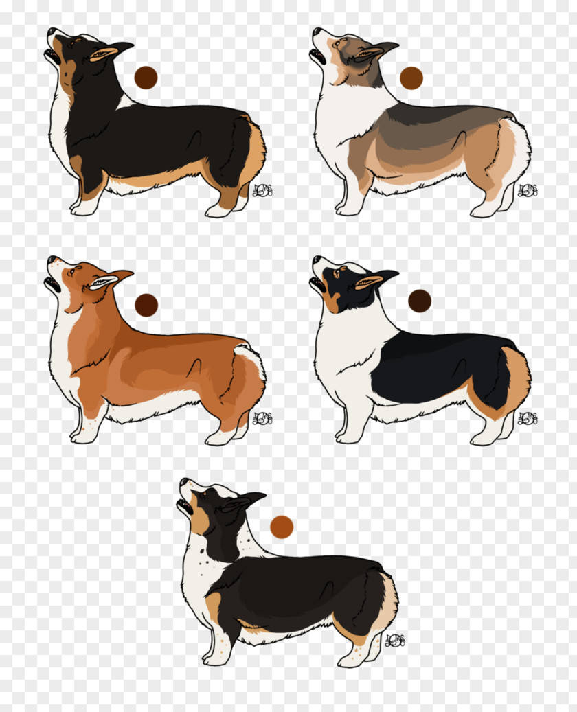 Corgi Husky Mix Dog Breed Illustration Cartoon PNG