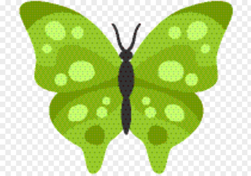 Emperor Moths Wing Green Leaf Background PNG