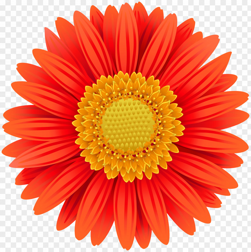 Orange Gerbera Transparent Clip Art Image Quantity Discounts: An Overview And Practical Guide For Buyers Sellers Discounting Purchasing PNG