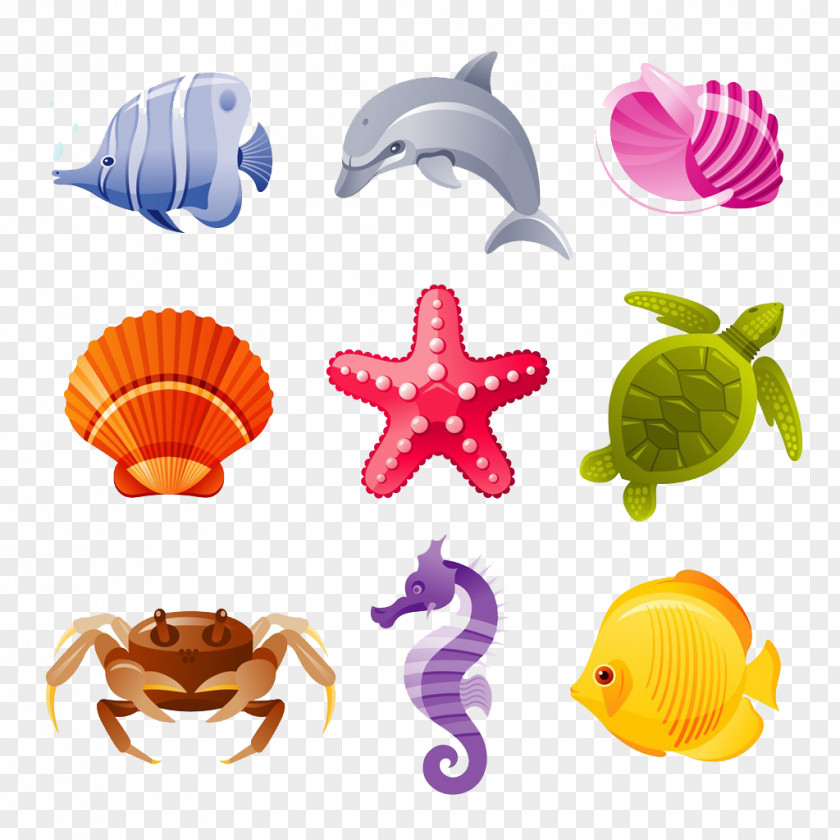 Starfish Deep Sea Creature Aquatic Animal Seashell Clip Art PNG