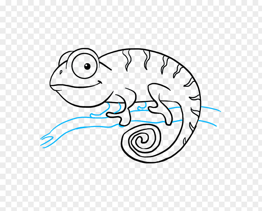 Tail Chameleon Background PNG