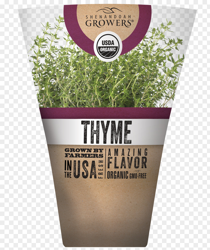 Thyme Herb Shenandoah Growers Inc. Organic Food Superfood Flavor PNG
