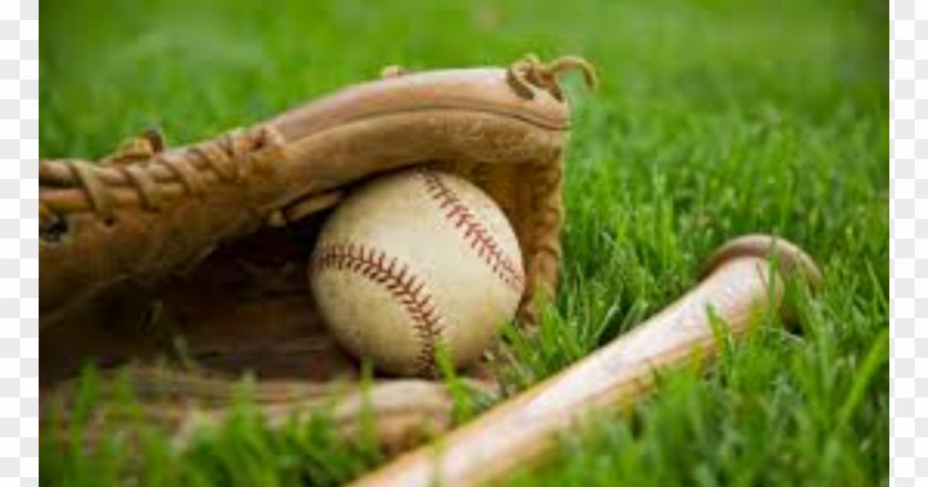 Baseball Kansas Wesleyan University 2017 Major League Season Coyotes Football Sports PNG