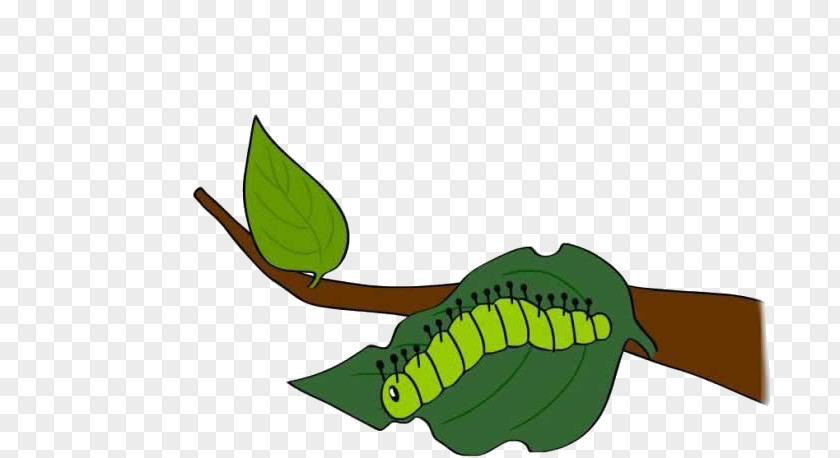 Green Leaves On Caterpillars The Very Hungry Caterpillar Insect Butterfly Animal PNG
