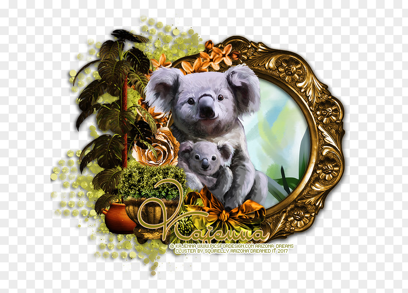Koala Bear Dog Breed Puppy PNG
