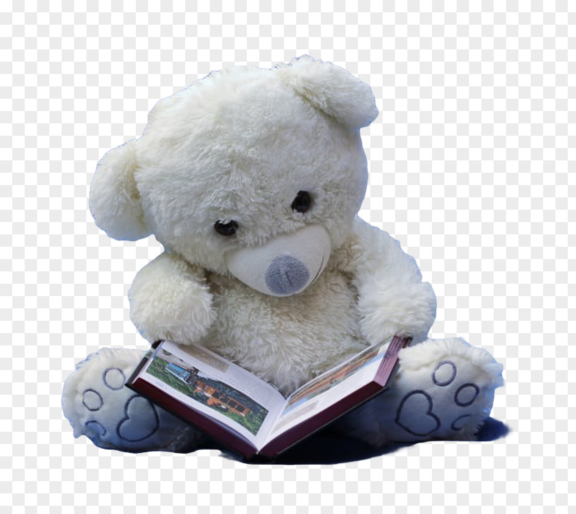 Teddy Bear Stock.xchng Stuffed Toy PNG bear stock.xchng toy, doll in reading clipart PNG