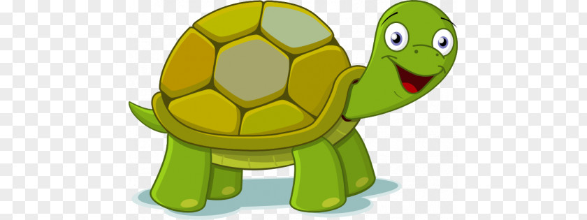 Turtle Clip Art PNG