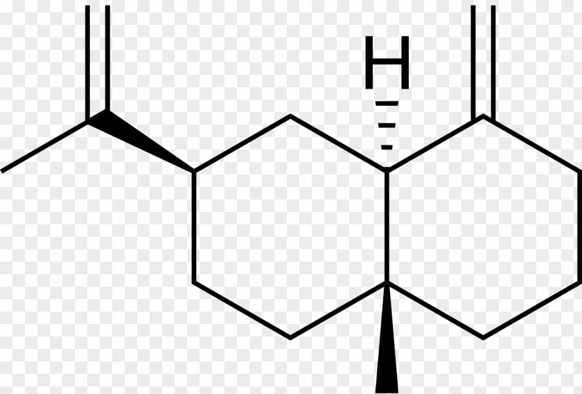 Chemical Formula Chemistry Molecule Compound Leucine PNG