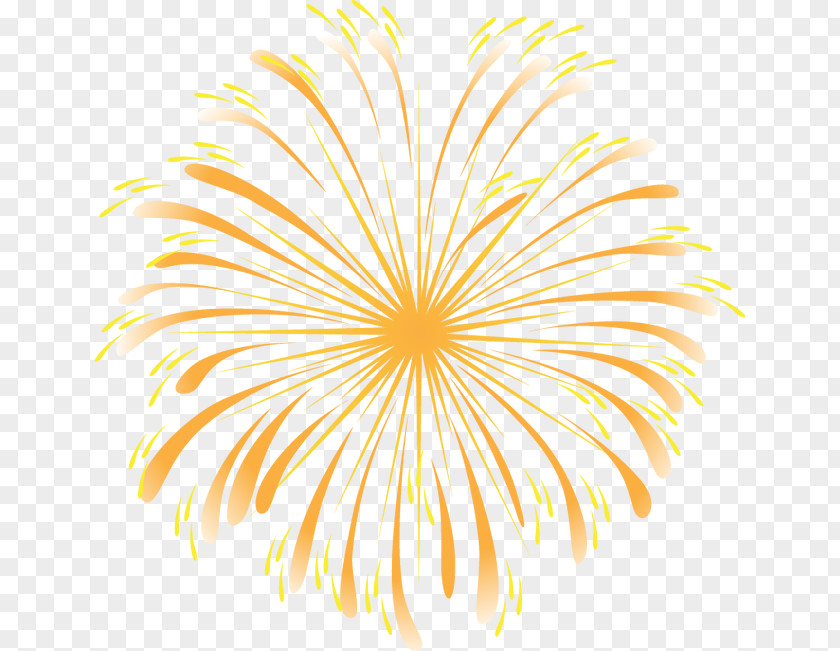 Cool Fireworks Light PNG