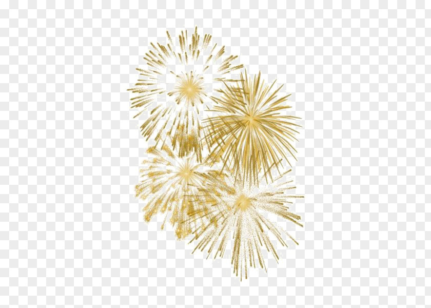 Fireworks Transparency Clip Art Image PNG