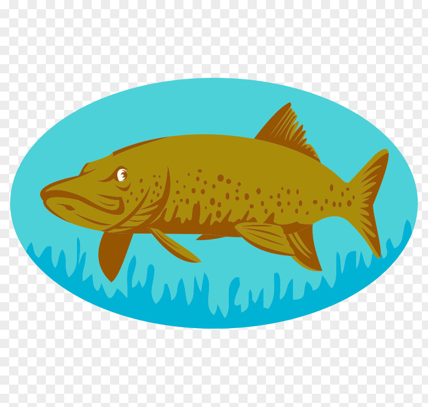 Fishing Northern Pike Muskellunge Stock Photography PNG