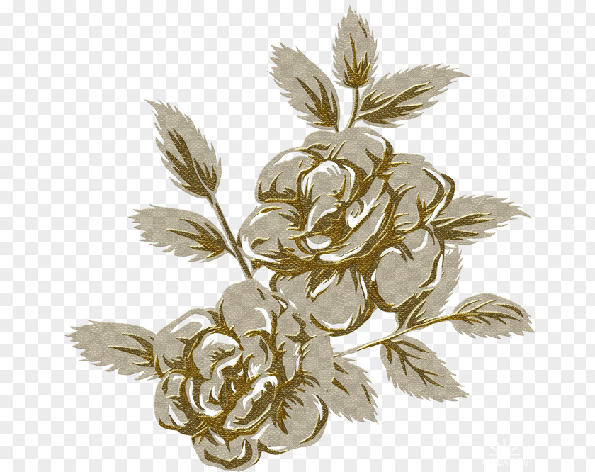 Gold Flowers Drawing PNG