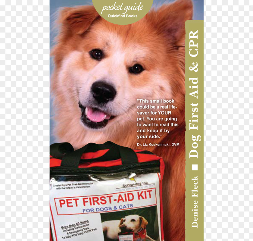 Guide Dog First Aid & CPR Rescue Critters® Pet For Kids: Cats And Dogs Emergency Kits PNG
