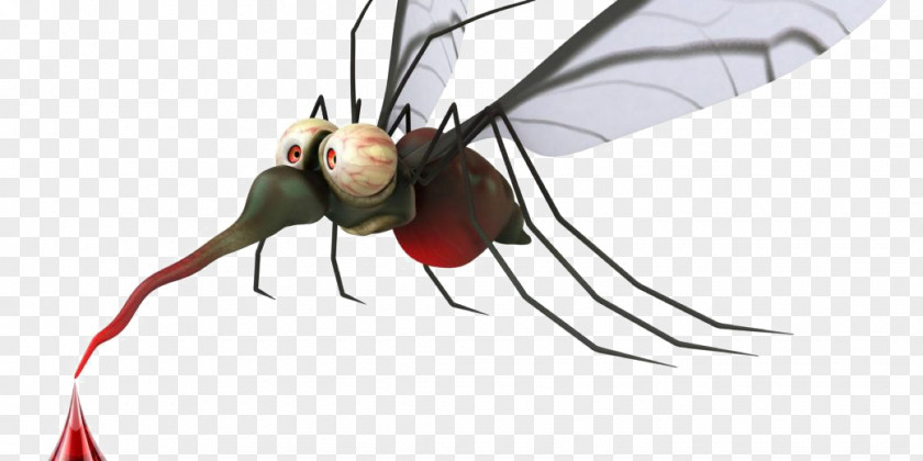 Mosquito Mosquito-borne Disease Zika Virus Fever PNG