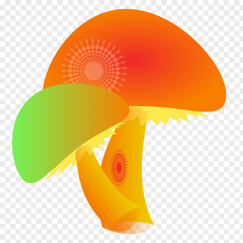 Mushroom Psilocybin Clip Art PNG