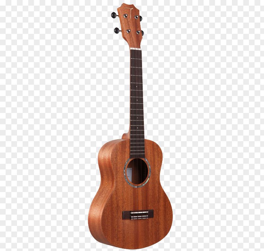 Musical Instruments Ukulele Instrument Guitar Fingerboard String PNG