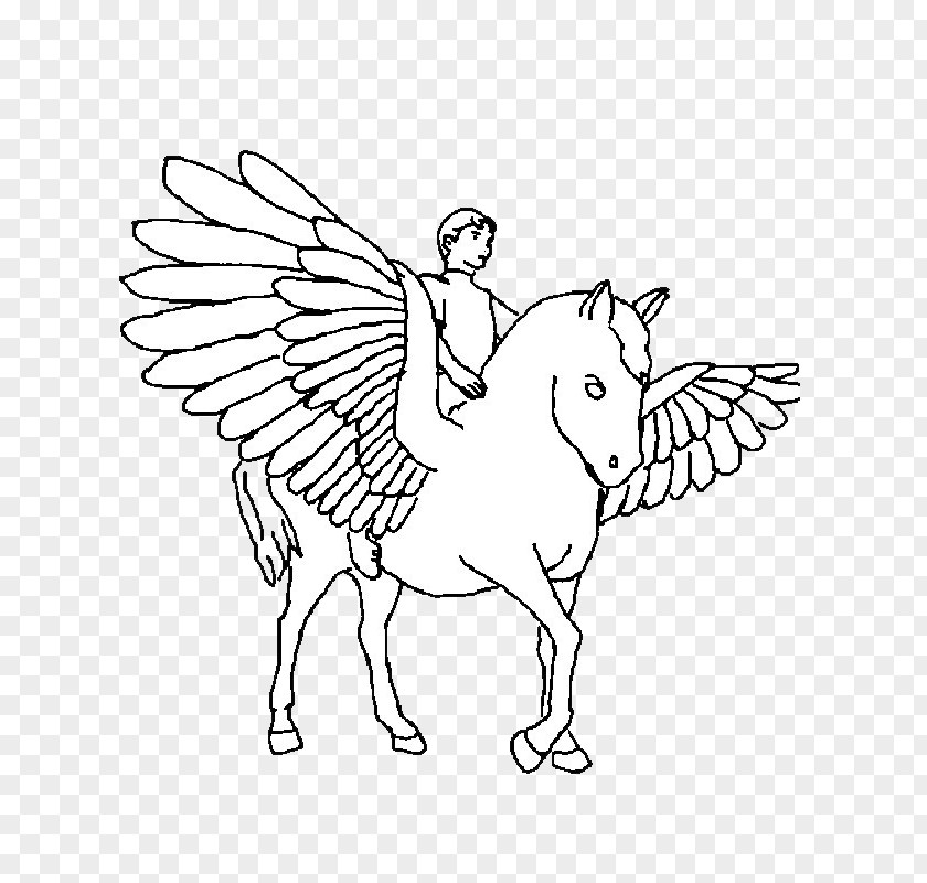 Pegasus Horse Child PNG