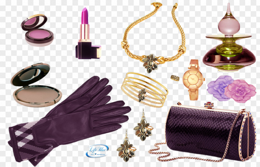Stylish Woman Jewellery Clothing Accessories PNG