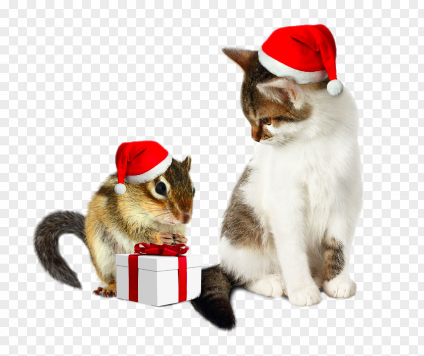 Wearing Christmas Hats Tom And Jerry Santa Claus Chipmunk Humour Cat PNG