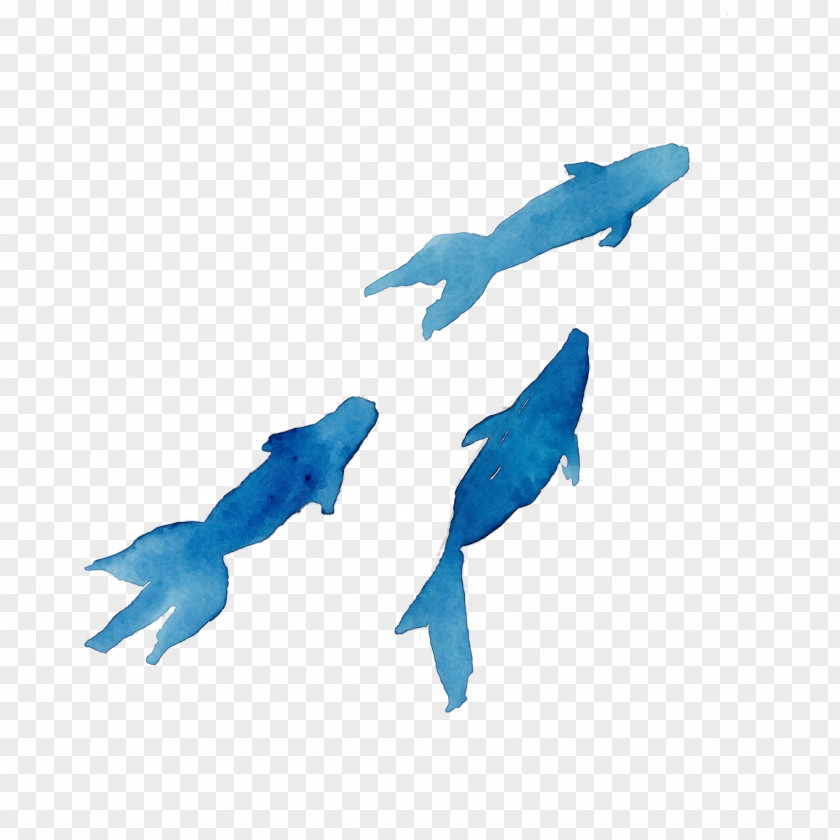 Animal Figure Fin Dolphin PNG