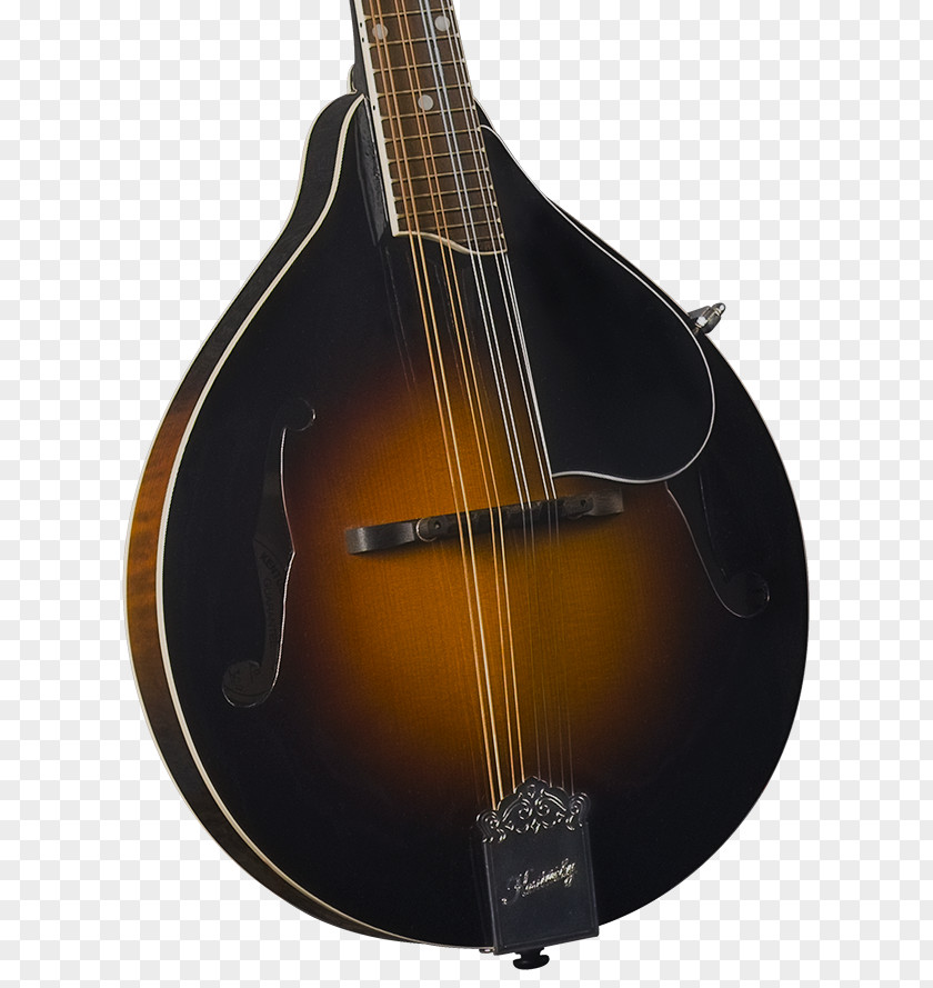 Bass Guitar Mandolin Cuatro Acoustic Acoustic-electric PNG