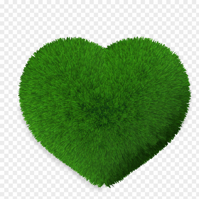 Heart-shaped Grass Lawn Green Leaf PNG