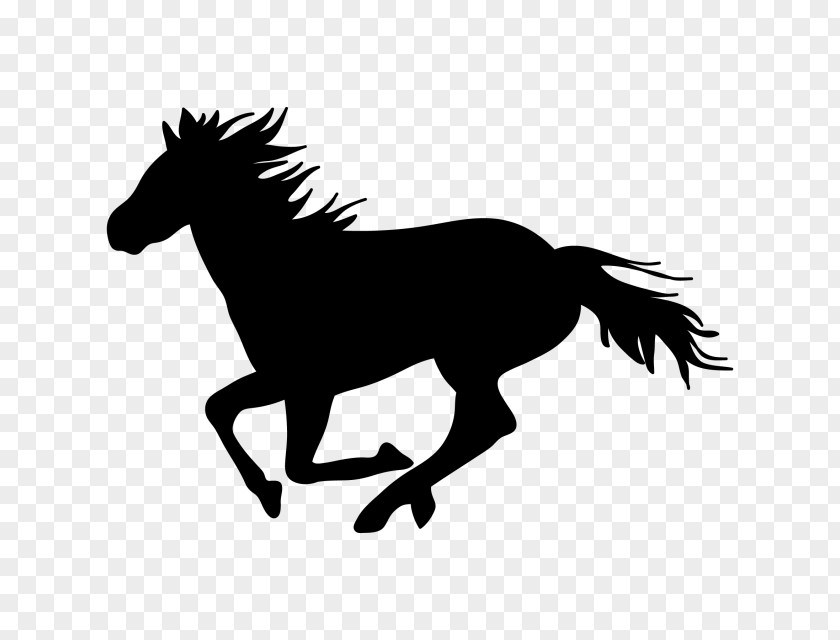 Horse Toy Racing Clip Art PNG