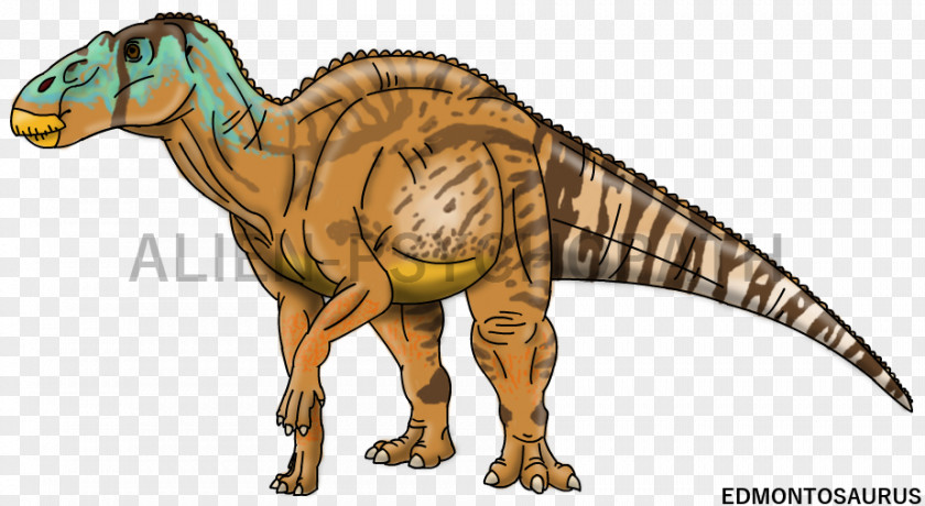 Jurassic Park Tyrannosaurus Edmontosaurus Velociraptor Dinosaur PNG