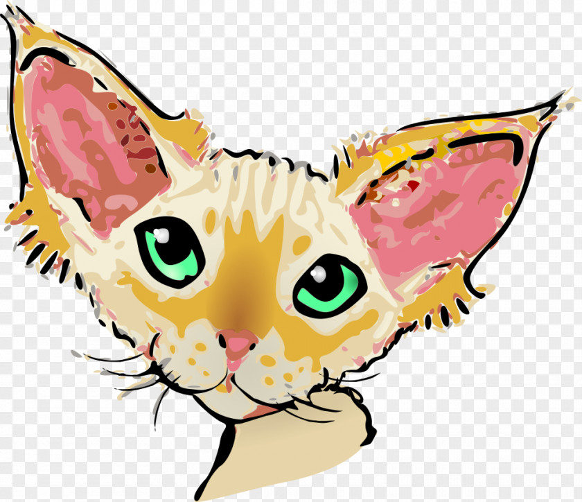Kitten Devon Rex Domestic Short-haired Cat Whiskers Clip Art PNG