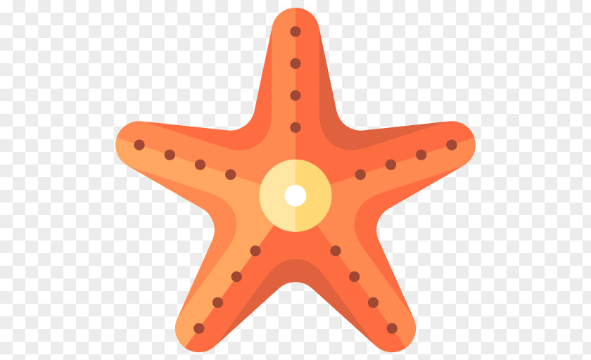 Starfish Line Echinoderm Angle PNG