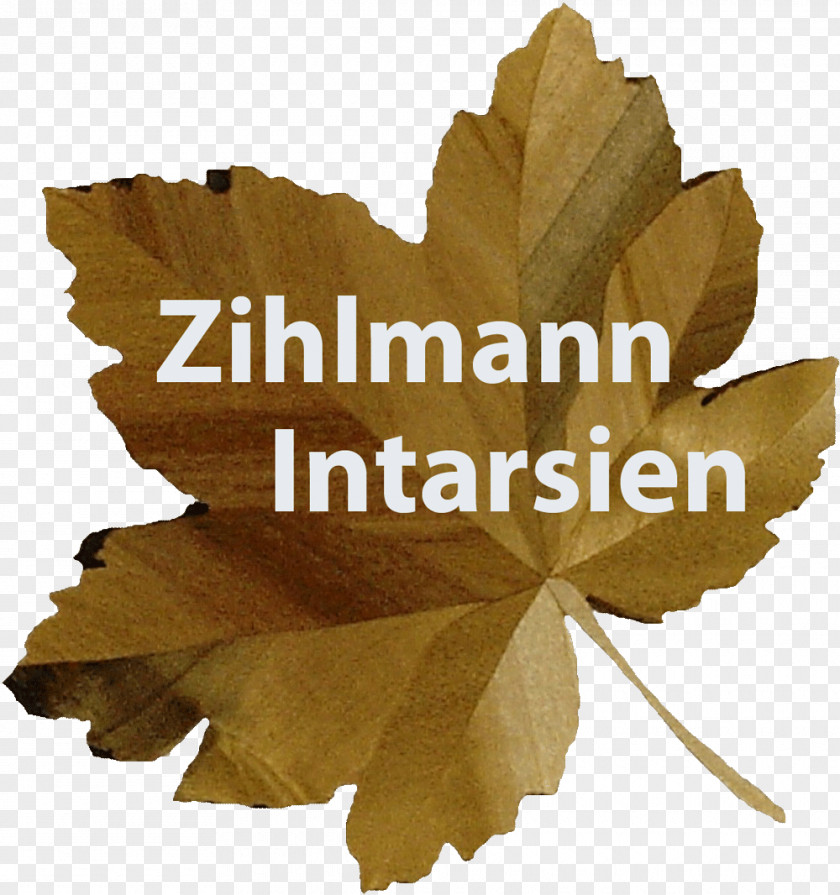 Switzerland Intarsia Logo Art Font PNG