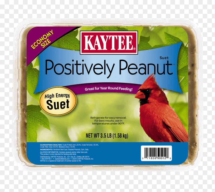 Bird Food Kaytee 3.5-Pound Suet And Seed Large Feeders Amazon.com PNG
