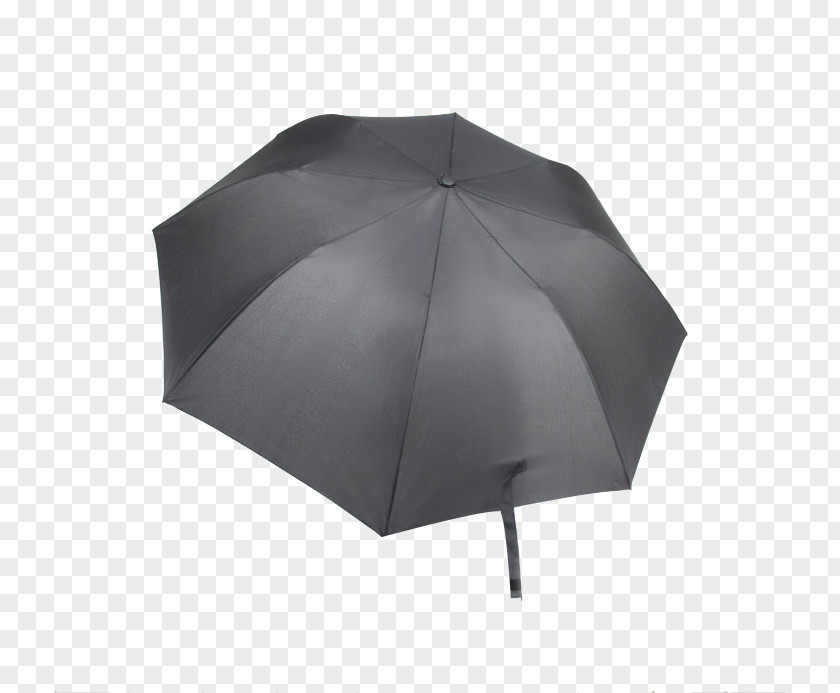 Distraction Umbrella Download Icon PNG