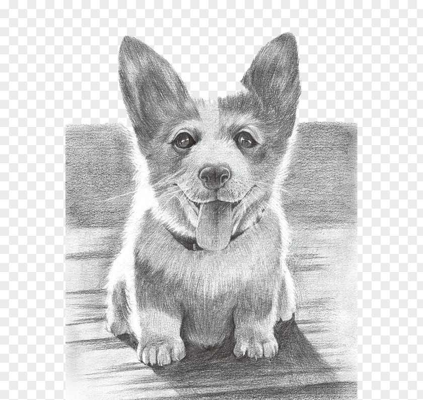 Dog Drawing Puppy Painting PNG