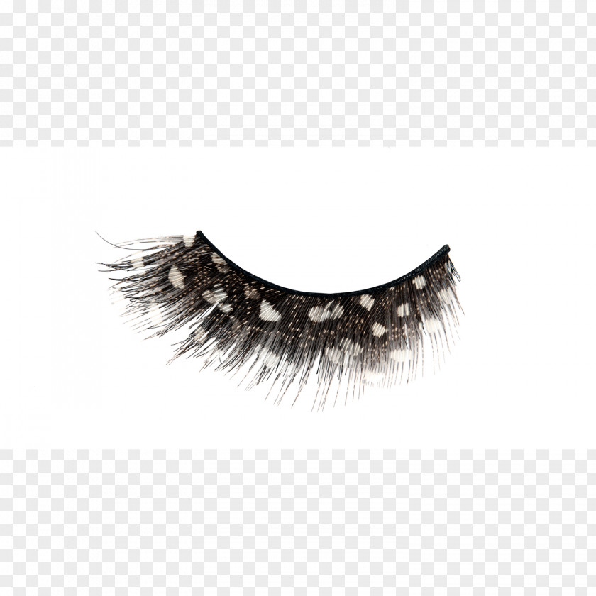 Eyelashes Eyelash Extensions NYX Cosmetics Beauty Parlour PNG