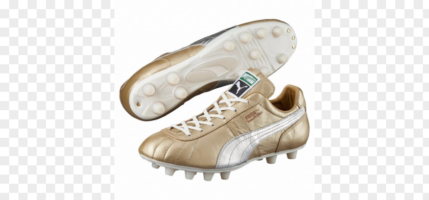 Football Star Product Design Shoe Cross-training PNG