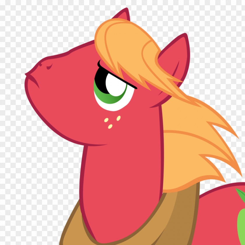 Horse My Little Pony: Friendship Is Magic Fandom Big McIntosh Pinkie Pie PNG