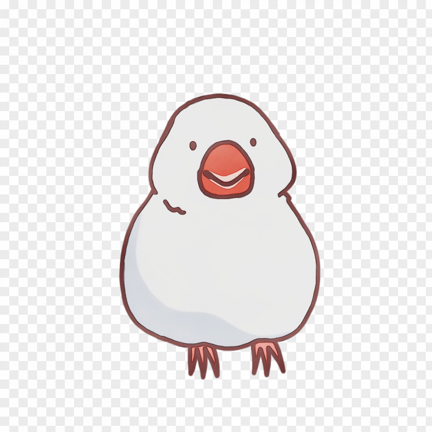 Penguins Ducks Chicken Water Bird Beak PNG