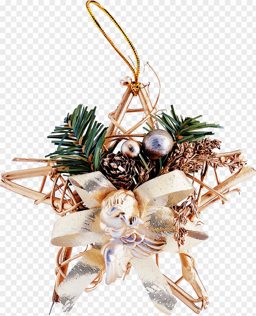 Pine Family Colorado Spruce Christmas Ornament PNG