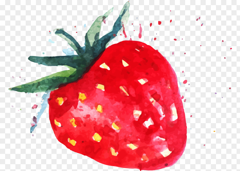 Strawberry Watercolor Painting Fruit PNG