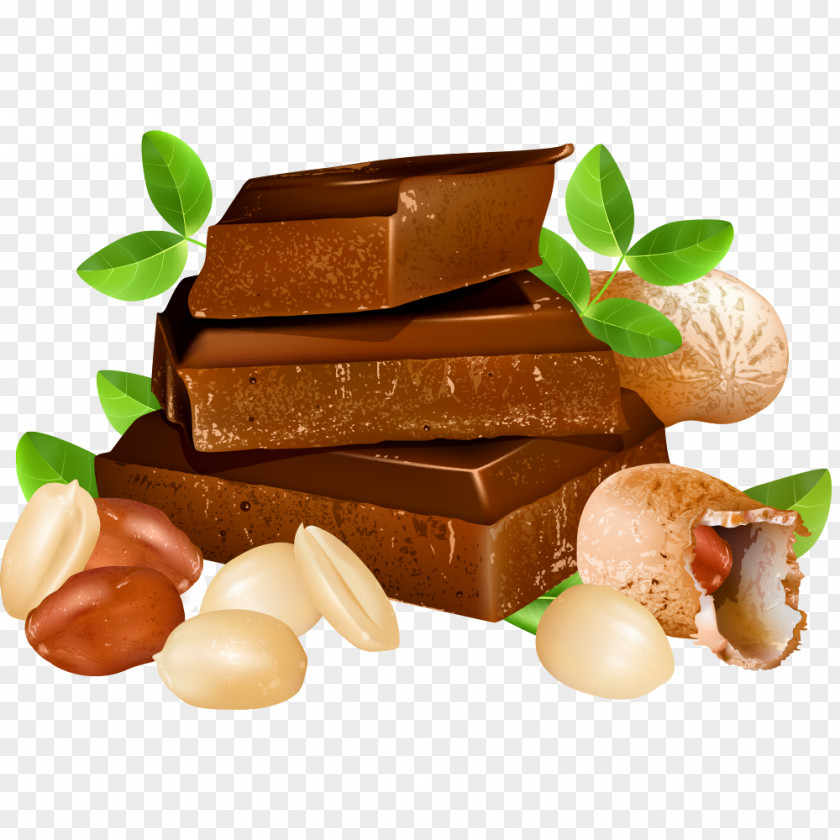 Vector Chocolate And Peanut Photography Illustration PNG