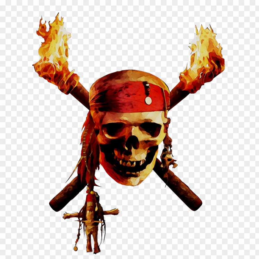 Copyright Infringement Skull Pirate Truth PNG
