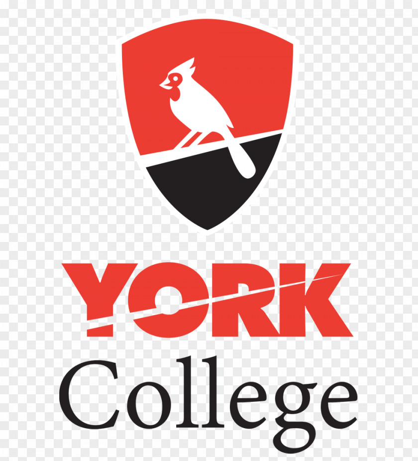Enrolled York College, City University Of New San Antonio College Northeast Lakeview Queen Margaret Wellington PNG