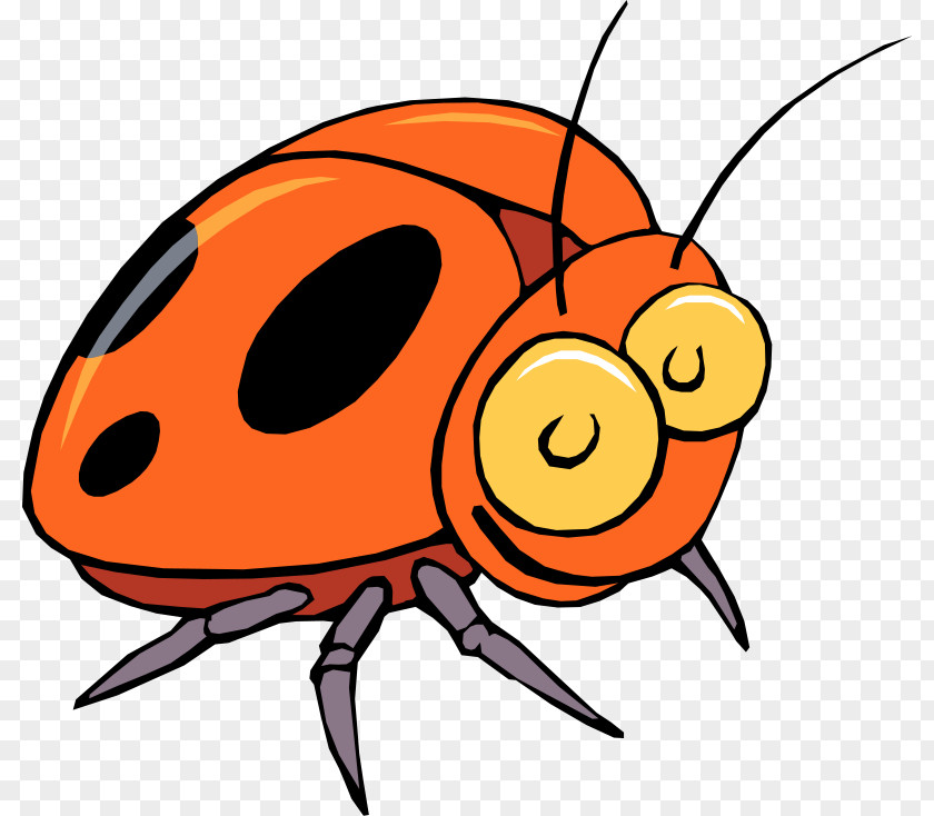 Free Insect Photos Beetle Ladybird Content Clip Art PNG